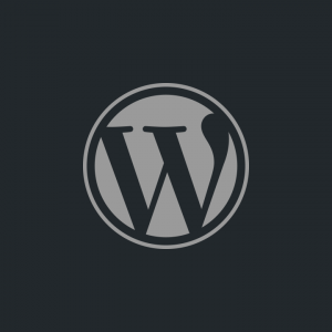 Wordpress beveiliging