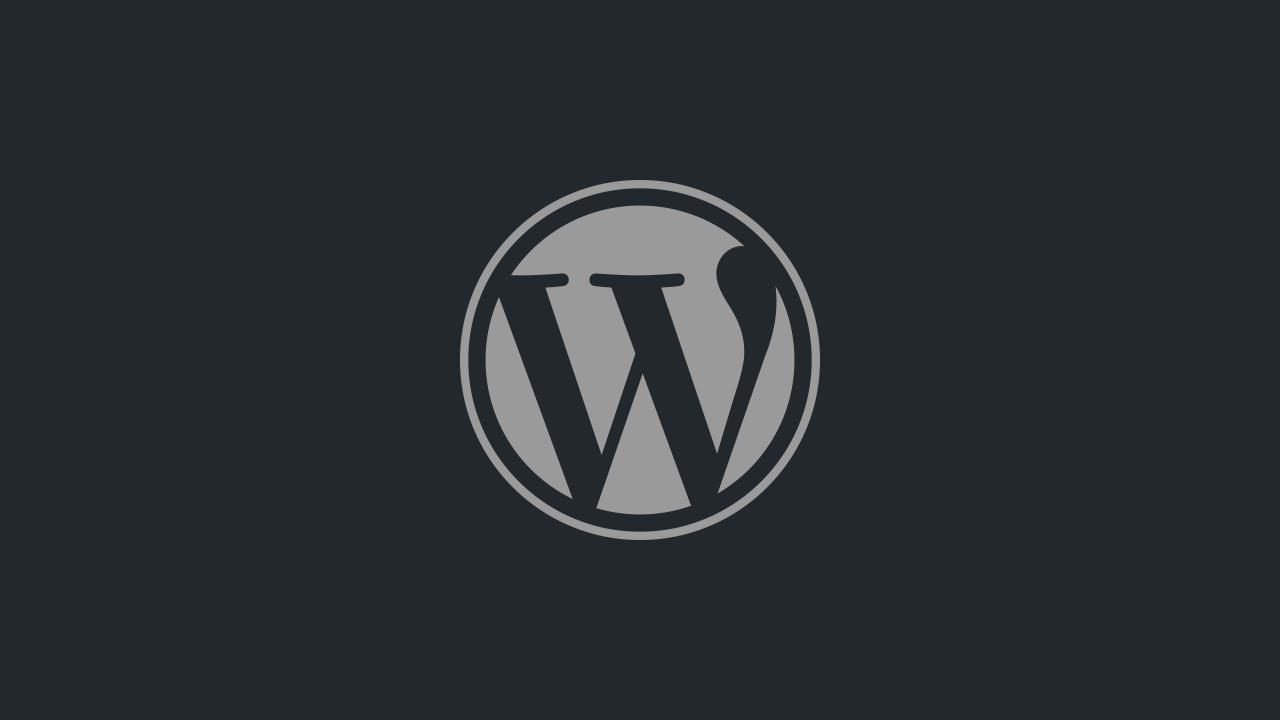 Wordpress beveiliging
