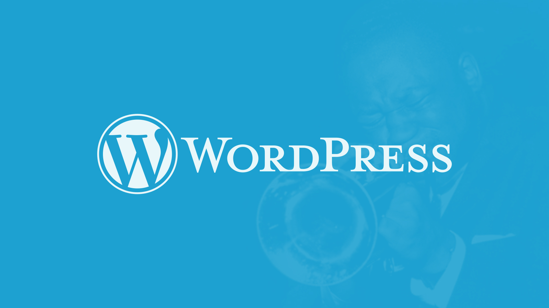 Wordpress update 4.4