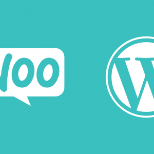 woocommerce wordpress meetup