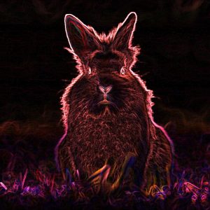 BadRabbit ransomware aanval