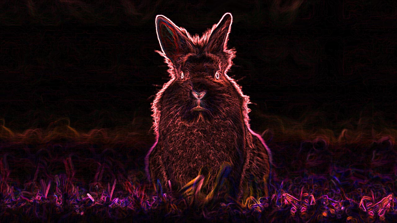 BadRabbit ransomware aanval