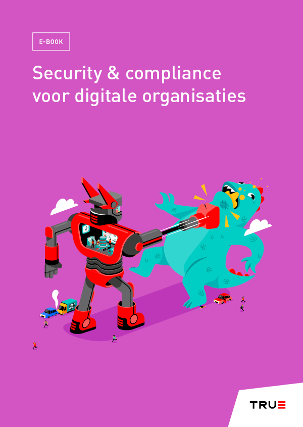 Compliance en Security voor digitale organisaties - E-Book