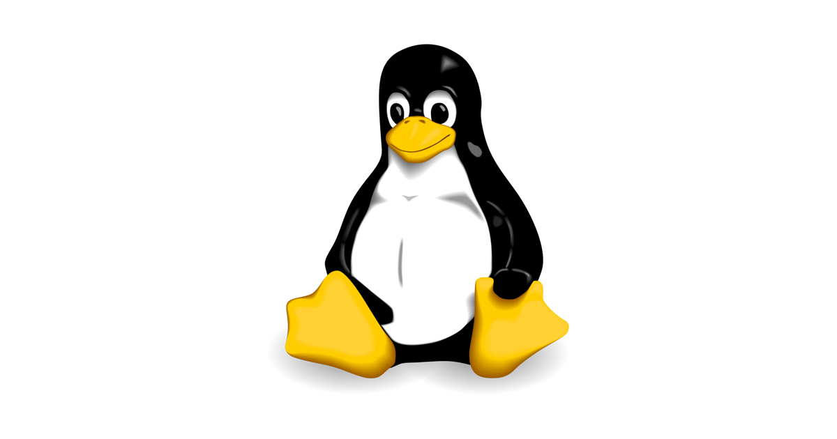 Linux server hosting