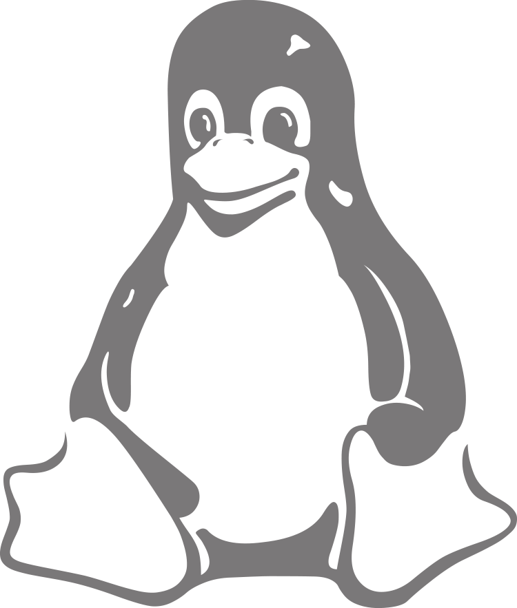Linux server hosting voor Ubuntu 18.04
