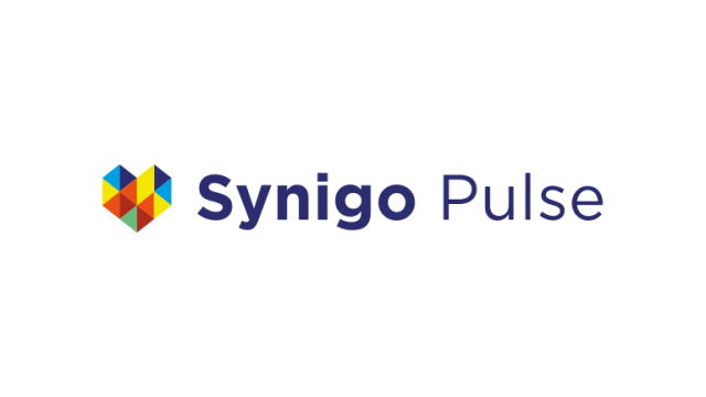 Synigo pulse portal door True