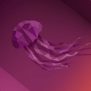 Ubuntu 22.04 Jammy Jellyfish